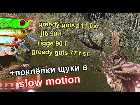 Видео: твичинг щука воблер greedy guts 111 f sr, rigge 90 f, greedy guts 77 f sr и jib 90 f 20.08.2017 г.