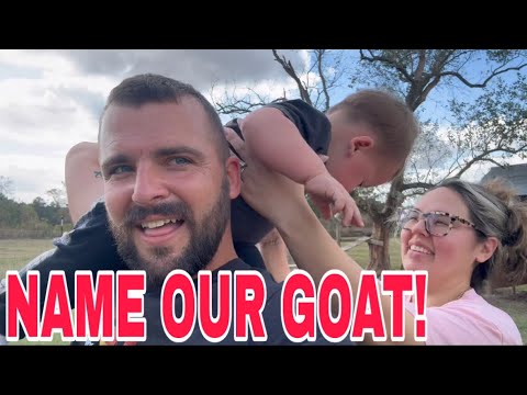 Видео: Наш КОЗЛЕНОК — В гостях у Плам Гроув