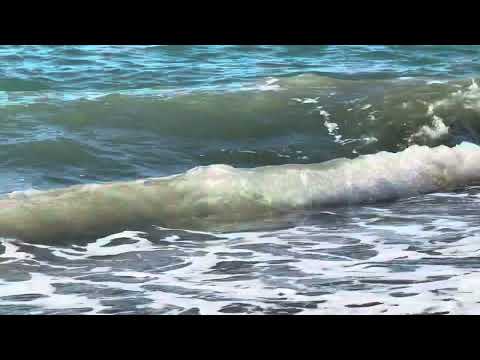 Видео: 2 ноября 2025🌸🌸🌸☀️🌷🦋