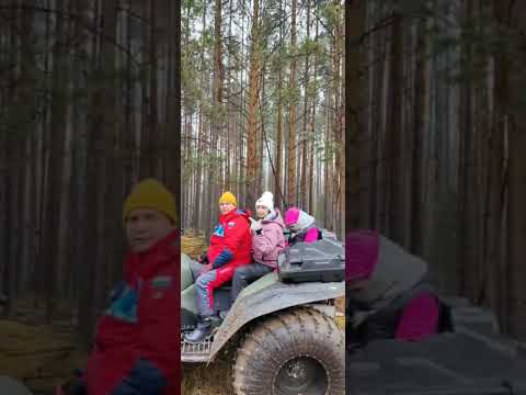 Видео: Туры на болотоходах