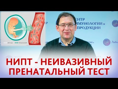 Видео: Неинвазивный пренатальный тест (НИПТ). Что такое НИПТ и какие патологии выявляет НИПТ.
