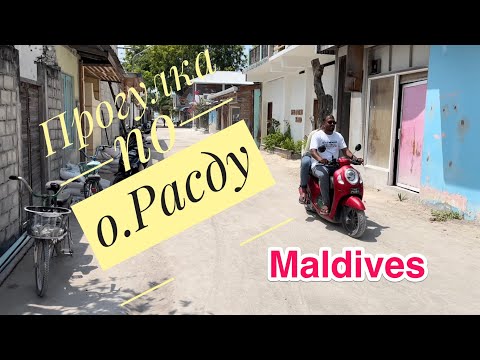 Видео: Мальдивы 🇲🇻 Прогулка по о.Rasdhoo / Видели Акул / местный магазин