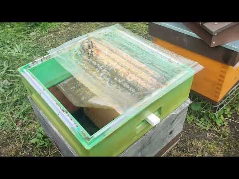 Видео: Облёт в магазине над семьёй