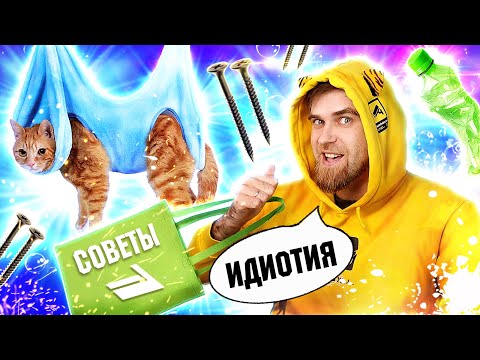 Видео: ВИСЯЩИЙ кот и НЕТ ПРОБЛЕМ! Тупые СОВЕТЫ от первого КАНАЛА для кошек за 0 рублей - треш ОБЗОР