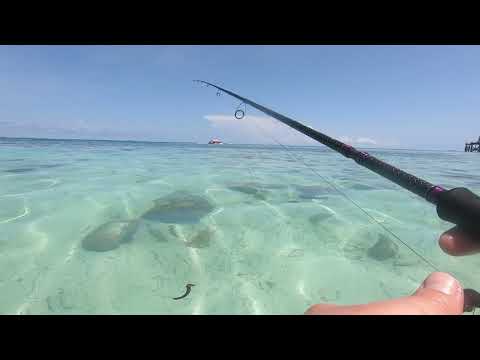 Видео: Рыбалка на Занзибаре с берега.