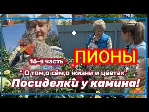 Видео: Посиделки у камина. Часть 16. О жизни и цветах / Сад Ворошиловой
