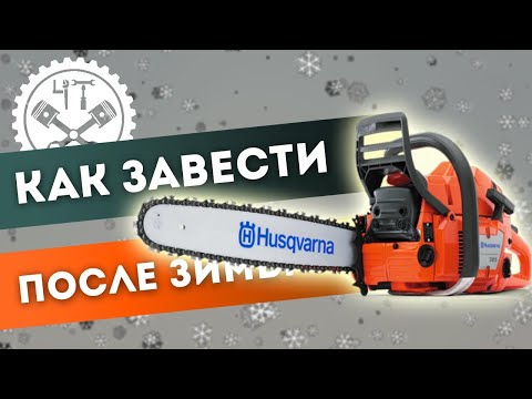 Видео: 🔧 Как завести бензопилу после зимы