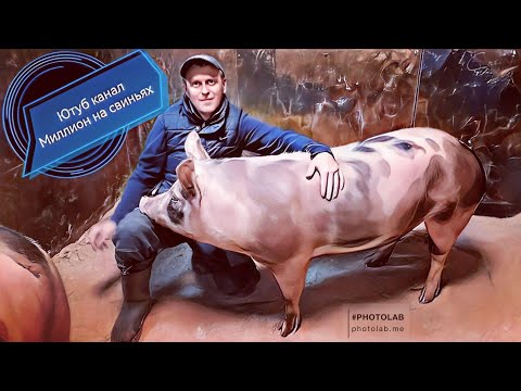 Видео: КУПИЛ ЖЕЛЕЗО ДЛЯ ЗАГОНА ‼️УТЕПЛЯЮ СТЕНУ В СВИНАРНИКЕ ‼️