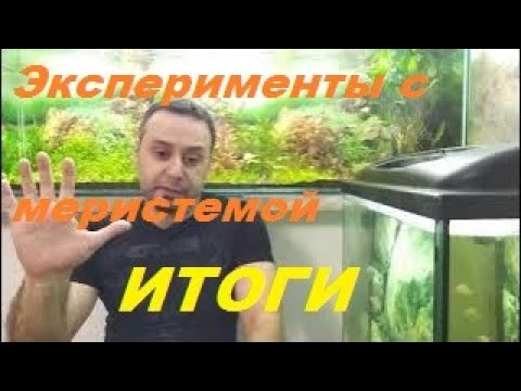 Видео: Итоги меристемного эксперимента! Смотреть до конца!