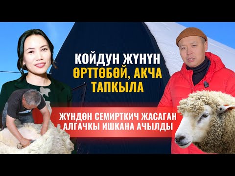 Видео: Жүндөн жер семирткич жасаган ишкана | Дыйкандын тилеги