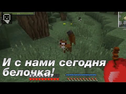 Видео: Лазуритный Гном - Самые смешные моменты #11 - (2 мар. 2014 г.)*