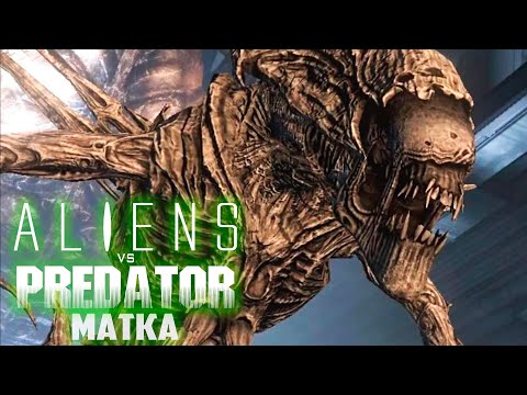 Видео: УЛЕЙ И МАТКА ЧУЖИХ - ALIEN vs PREDATOR Прохождение #2