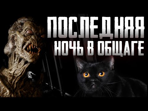 Видео: Страшилки на ночь - Сумрак - Страшные истории на ночь