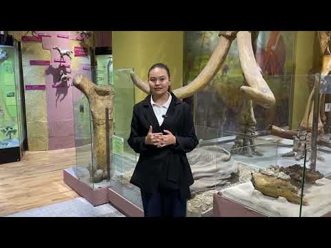 Видео: "Менің шағын Отаным" 86мг