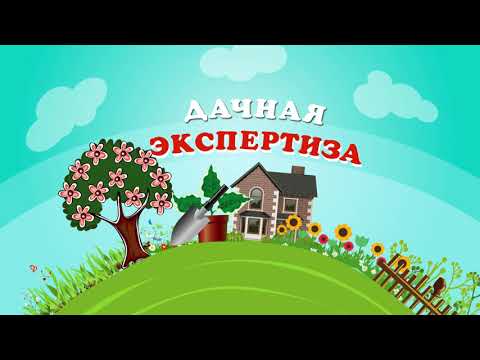 Видео: Как выбрать питательные вещества? Дачная экспертиза.