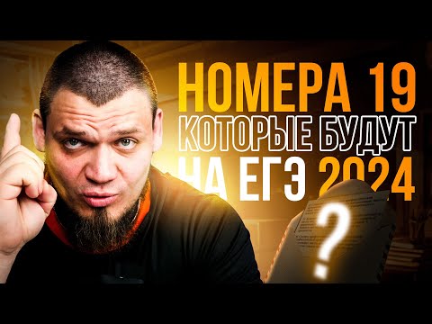 Видео: №19 которые будут на ЕГЭ | Самые важные идеи | ЕГЭ 2024 по математике