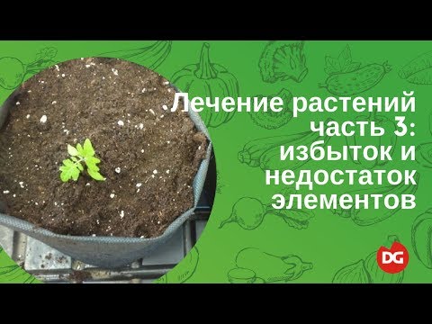 Видео: №45 Лечение растений. Часть 3: избыток и дефицит элементов