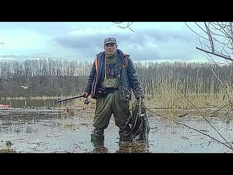 Видео: Синец зашёл в Реку. Ловлю на фидер ,ловлю на поплавок.