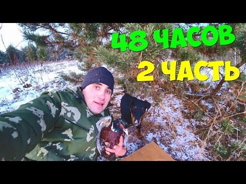 Видео: Выживание 48 часов в землянка [2 часть]Ловушки силки на птицу