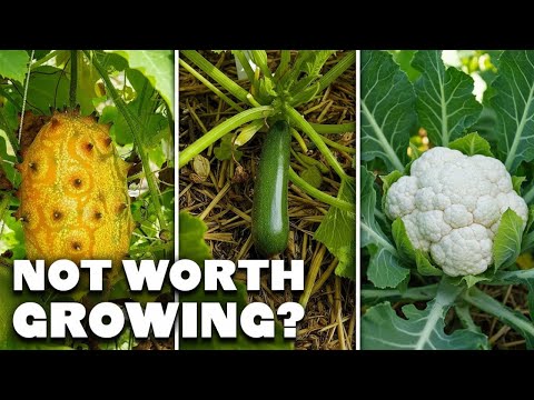 Видео: Не беспокойтесь о выращивании этих 15 культур