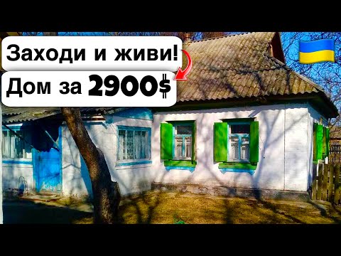 Видео: 🇺🇦 Заходи и живи! Дом в селе за 2900$ Продажа недвижимости за копейки! Всё есть Уютное тихое село!