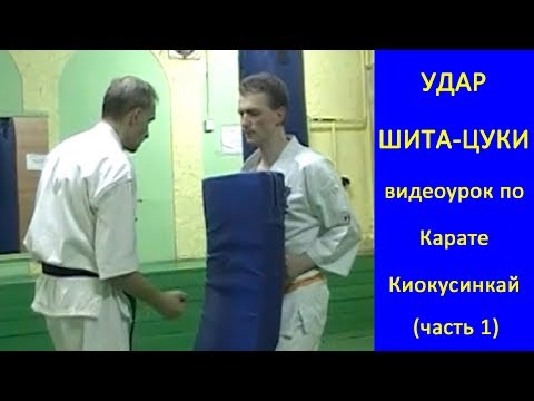 Видео: УРОКИ Каратэ Киокушинкай - Удар Шита-цуки урок № (часть 1)
