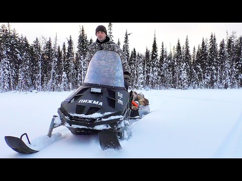 Видео: НЕ ОЖИДАЛ ТАКОГО РЕЗУЛЬТАТА! УДИВИТЕЛЬНО ЛЕГКО ИДУТ ГРУЖЁНЫЕ САНИ В ЦЕЛИК / ЕДУ В ТАЙГУ ЗА ДРОВАМИ.
