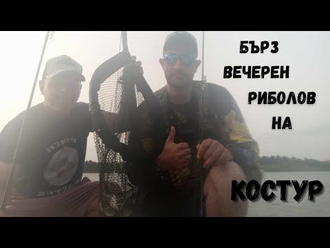 Видео: Бърз вечерен риболов на костур и щука