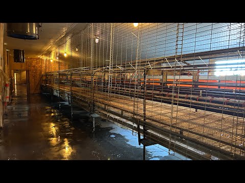 Видео: Ферма в Германии.Ждем новых Курей,уборка курятника.