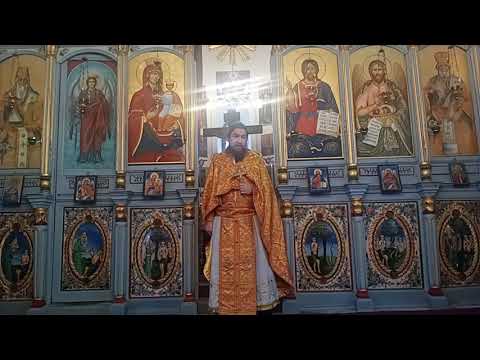 Видео: Кое е нашето семейство?