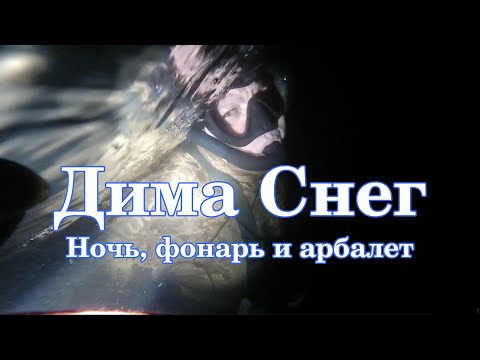 Видео: Дима Снег - Ночь, фонарь и арбалет.