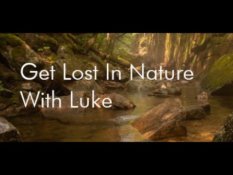 Видео: Get Lost In Nature With Luke VR (2021). 360° видеообои с красивыми видами природы (Oculus Pro).