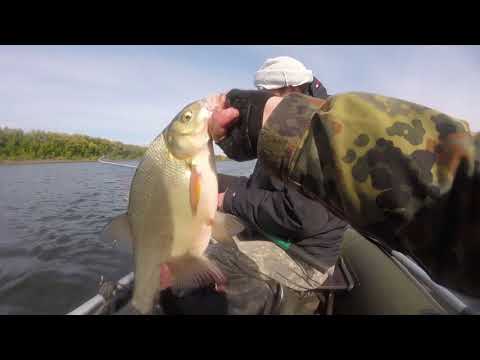Видео: OТХВАТИЛ ЛЕЩА:) РЫБАЛКА на р.ТОМЬ НОВОКУЗНЕЦК.