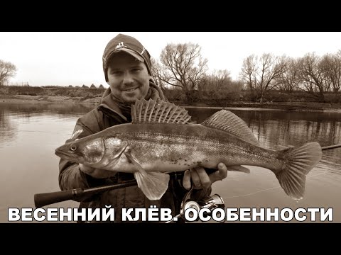 Видео: Спиннинг ранней весной. Рыбалка перед запретом.