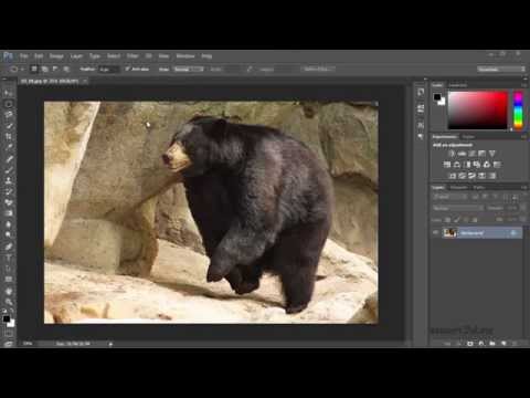 Видео: Уроки Фотошопа для начинающих бесплатно с нуля. Как работать в Фотошопе. #8
