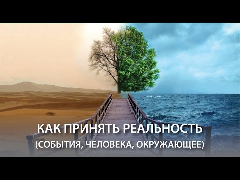 Видео: Как принять реальность (события, другого человека, окружающее пространство) легко и непринуждённо