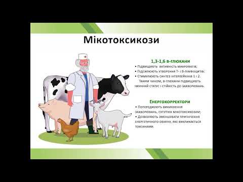 Видео: Микотоксины, Микотоксикозы, Решение - МОЛСОРБ.