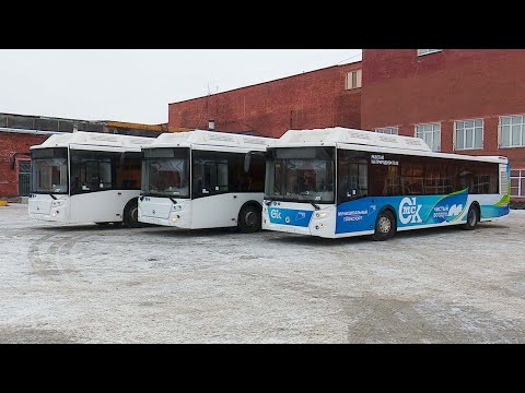 Видео: В Омск приехали последние три автобуса из новой партии