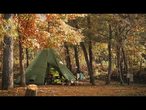 Видео: Горячая палатка 🔥 Кемпинг в лесу 🌳 Оставайтесь в ночное время, готовившись в одиночку