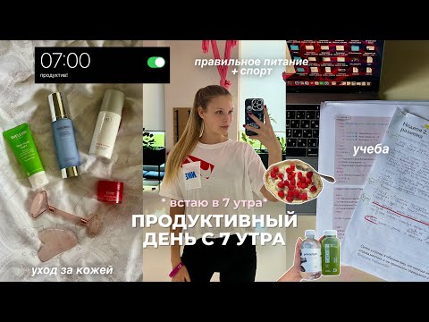 Видео: как провожу день с 7 УТРА | учеба IT, спорт, пищевые привычки, уход за кожей 🍵🌱