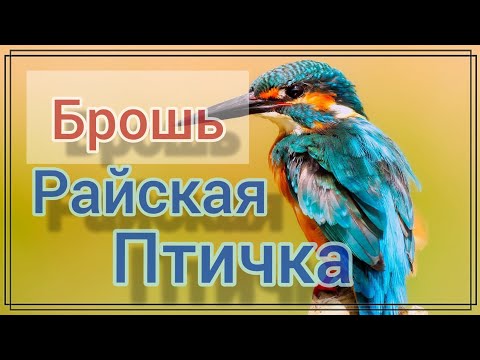 Видео: Брошь Райская птичка. Как вышить брошь птичка с перьями. Мастер класс для .Как сделать клюв птички.