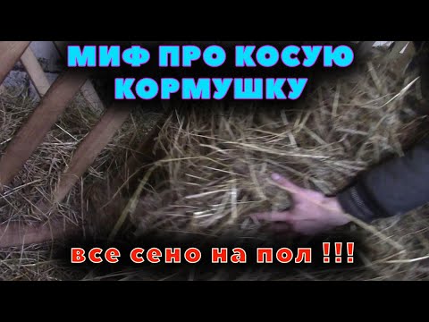 Видео: Прямые или косые? Рейки в кормушке - БЕЗ РАЗНИЦЫ!