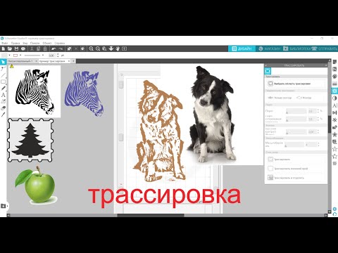 Видео: Урок 7 (ТРАССИРОВКА ИЗОБРАЖЕНИЙ) в программе Silhouette Studio для плоттеров Cameo, Curio, Portrait