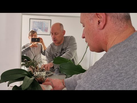 Видео: Сын заказал шапку Ушанку и часы Rolex. День в городе. Новый кабинет мужа. Новогодний сыр