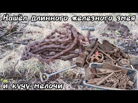 Видео: Металлокоп на старой ферме. Поилки, звёздочки и мелочь. Вес удивил. #безпонтов