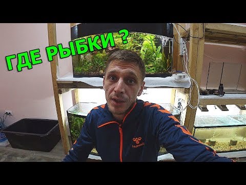 Видео: ПОЧЕМУ Я УШЕЛ С ЗООМАГАЗИНА???