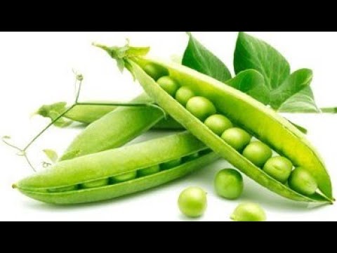 Видео: 🏡СІЄМО ГОРОХ🫛 І РЕДИСКУ🌱 26.03.25.