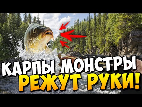 Видео: Рыбалка с рогаткой | Большие Карпы режут руки! | Охота на рыбу с рогаткой | Весенняя охота 2021 #8