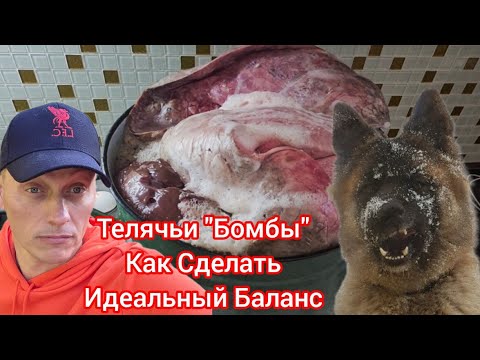 Видео: Идеальный Рацион для Собаки‼️ (Натуральное Питание, Вымя, Печень)