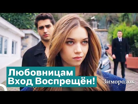Видео: Сейран Схватила Пелин За Волосы И Выбросила Из Ялы | Зимородок